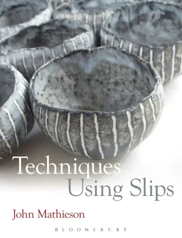 Cover of Techniques Using Slips