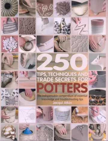 Cover of 250 Tips, Techniques and Trade Secrets for Potters