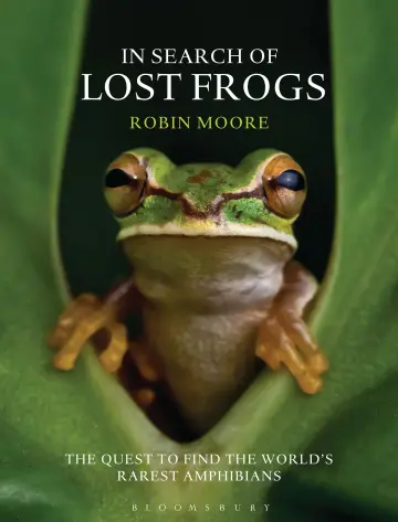 Cover of In Search of Lost Frogs