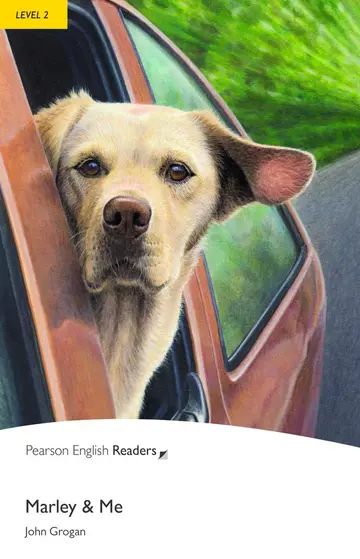Cover of Level 2