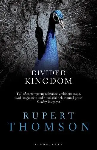 Cover of Divided Kingdom