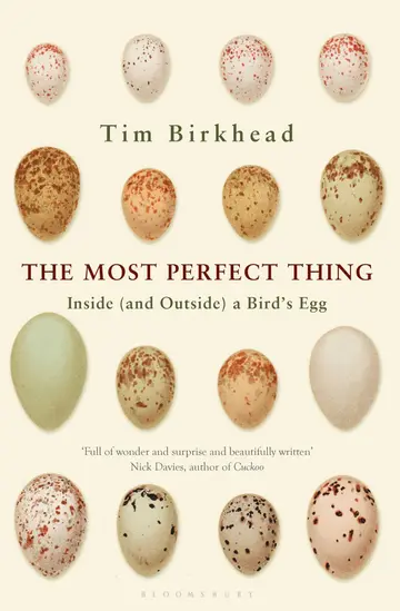 Cover of A Bird's Egg