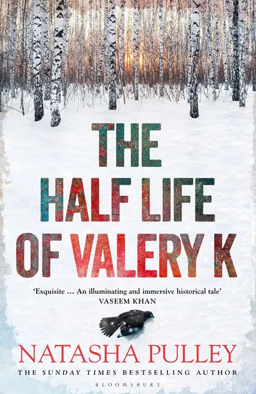 Cover of The Half Life of Valery K