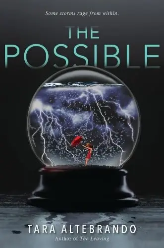 Cover of The Possible