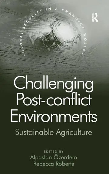 Cover of Challenging Post-Conflict Environments