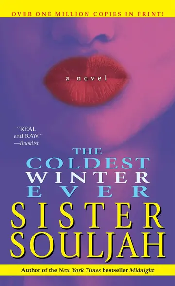 Cover of The Coldest Winter Ever