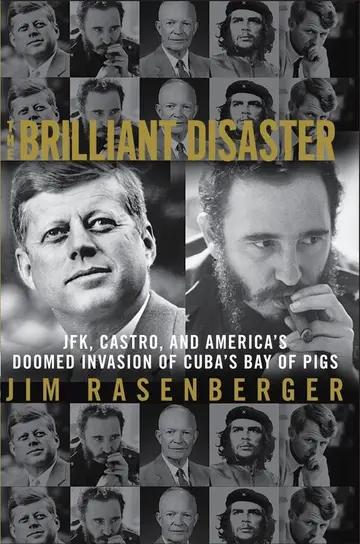 Cover of The Brilliant Disaster