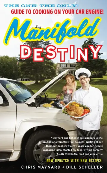 Cover of Manifold Destiny