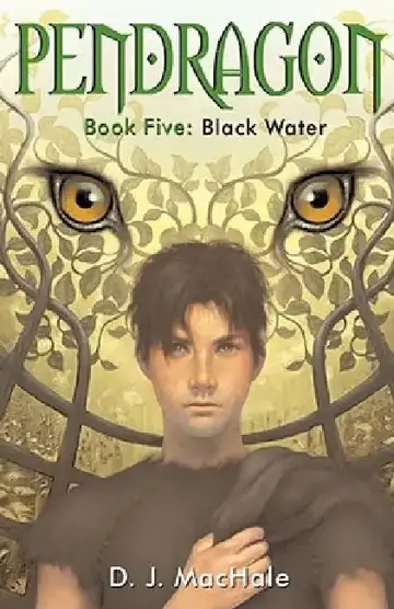 Cover of Black Water