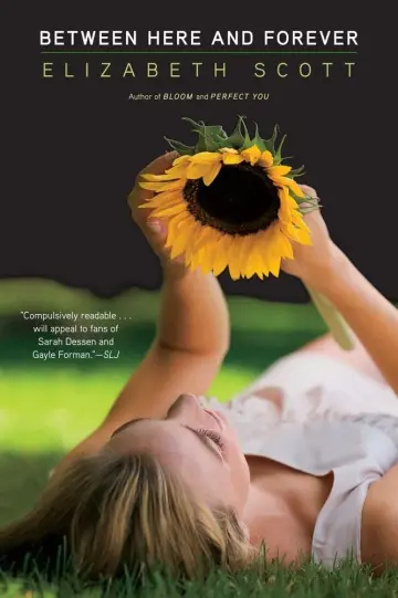 Cover of Between Here and Forever