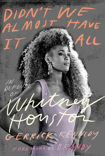 Cover of Didn't We Almost Have It All