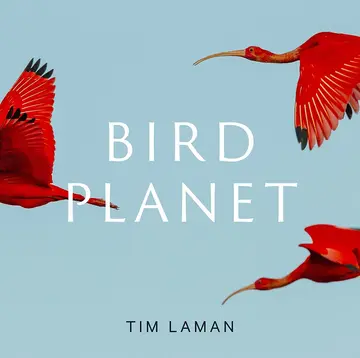 Cover of Bird Planet