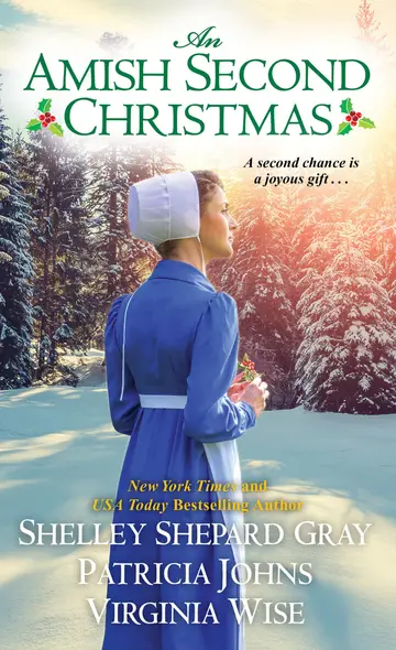 Cover of An Amish Second Christmas