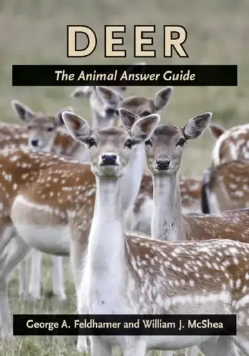 Cover of Deer