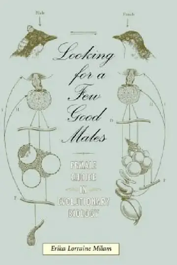 Cover of Looking for a Few Good Males