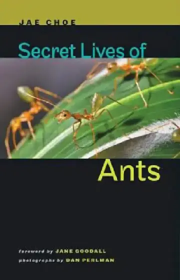 Cover of Secret Lives of Ants