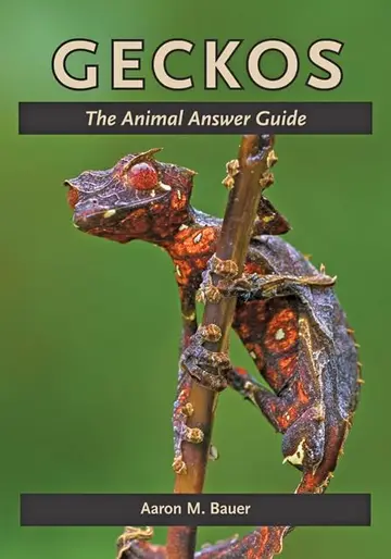 Cover of Geckos