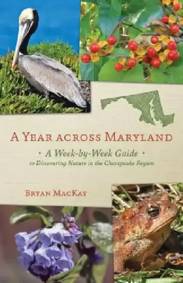 Cover of A Year Across Maryland