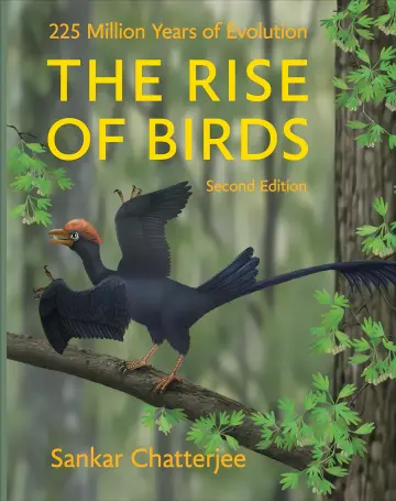 Cover of The Rise of Birds