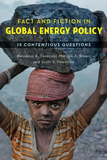 Cover of Fact and Fiction in Global Energy Policy