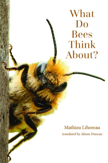Cover of What Do Bees Think About?