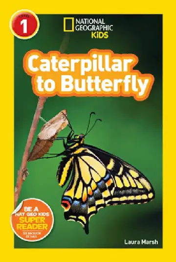 Cover of Caterpillar to Butterfly (National Geographic Kids Readers, Level 1)