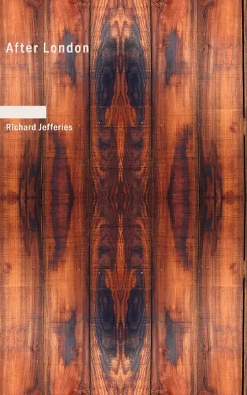 Cover of After London