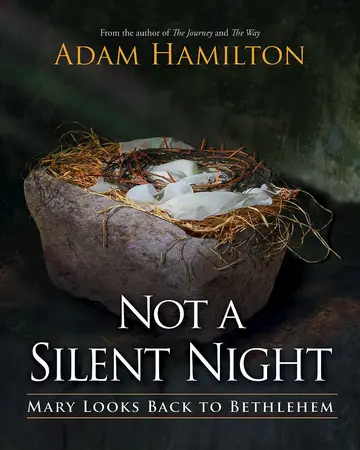 Cover of Not a Silent Night