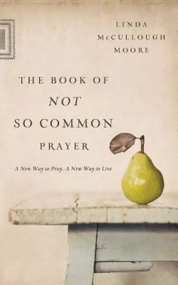 Cover of The Book of Not So Common Prayer
