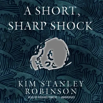 Cover of A Short, Sharp Shock