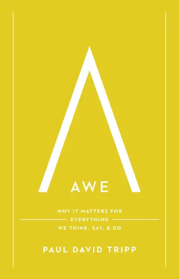Cover of Awe