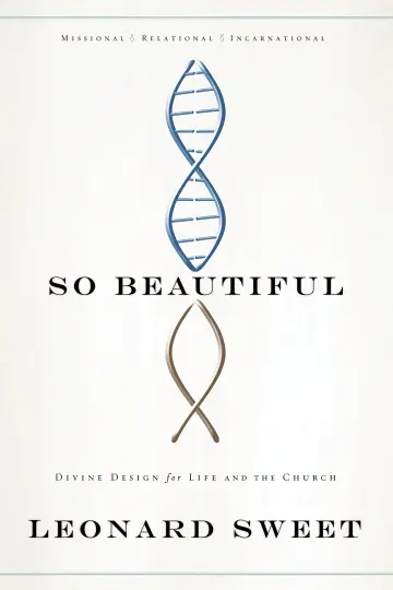 Cover of So Beautiful