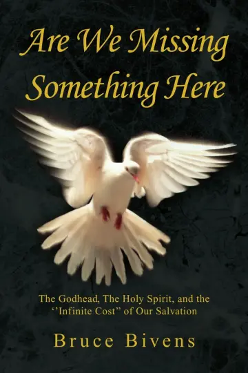 Cover of Are We Missing Something Here