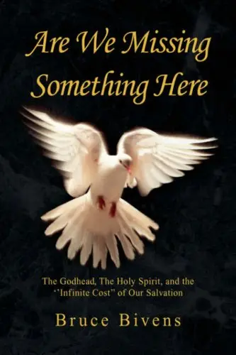 Cover of Are We Missing Something Here