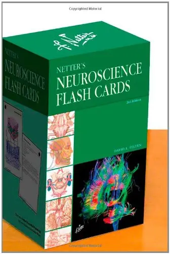 Cover of Netter's Neuroscience Flash Cards