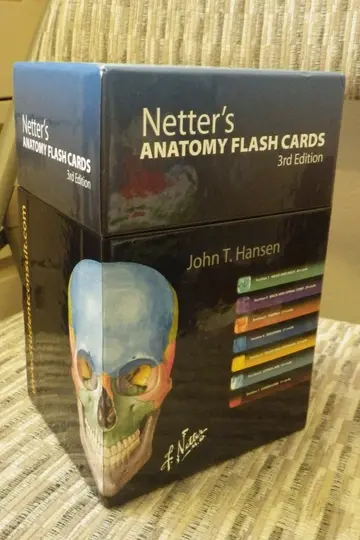 Cover of Netter's Anatomy Flash Cards
