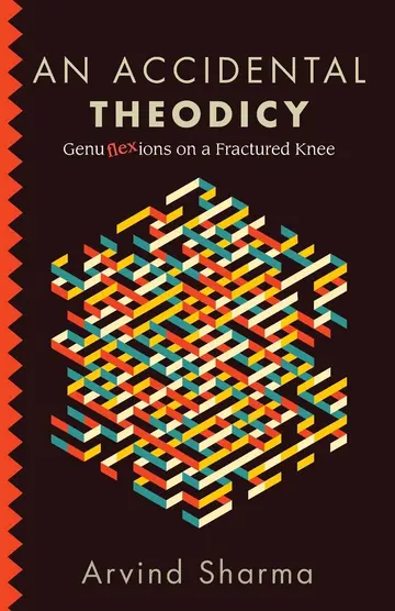 Cover of An Accidental Theodicy