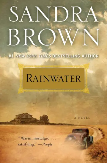 Cover of Rainwater