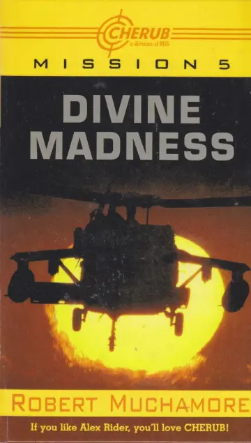 Cover of Divine Madness