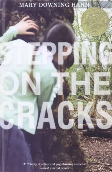 Cover of Stepping on the Cracks