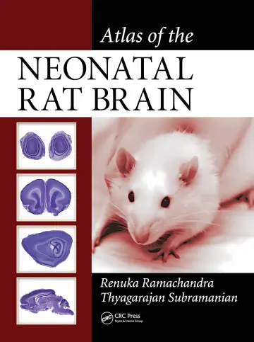 Cover of Atlas of the Neonatal Rat Brain