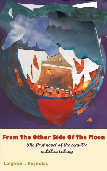 Cover of From the Other Side of the Moon