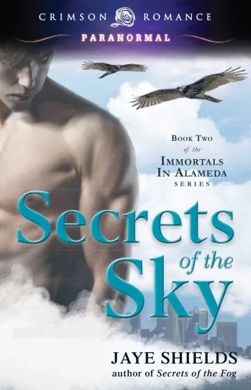 Cover of Secrets of the Sky