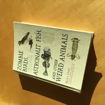 Cover of Zombie Birds, Astronaut Fish, and Other Weird Animals