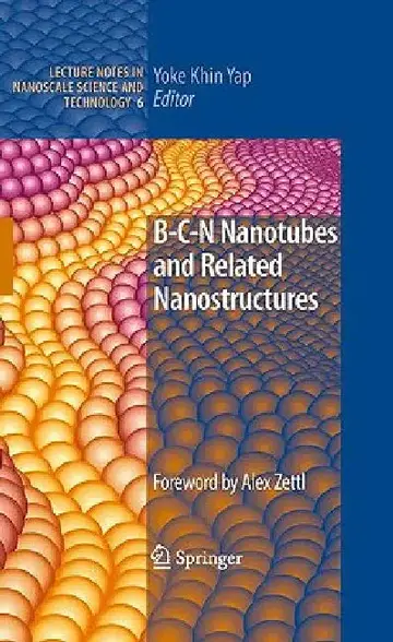 Cover of B-C-N Nanotubes and Related Nanostructures