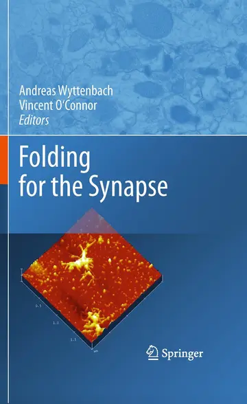 Cover of Folding for the Synapse