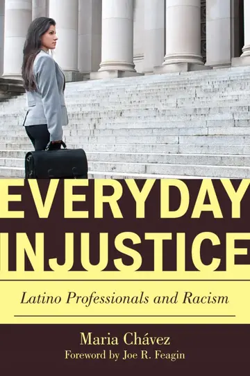 Cover of Everyday Injustice
