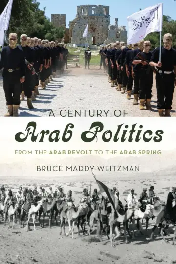 Cover of A Century of Arab Politics