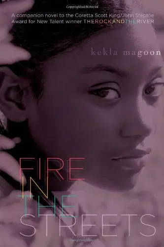 Cover of Fire in the Streets