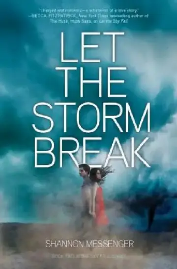 Cover of Let the Storm Break